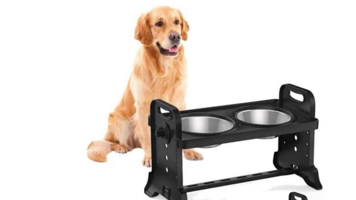 Adjustable Elevated Raised Pet Dog/Cat Feeder Bowl Food Water