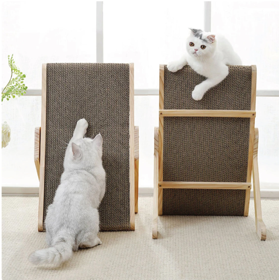 Protect your Furniture and Satisfy your Cat's Natural Instincts