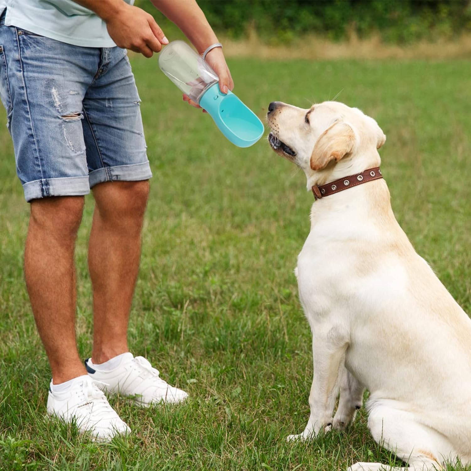 Keep Your Furry Friend Active and Hydrated All Summer Long!