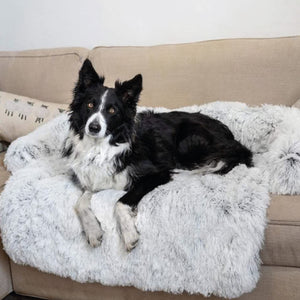 Dog Sofa Cover