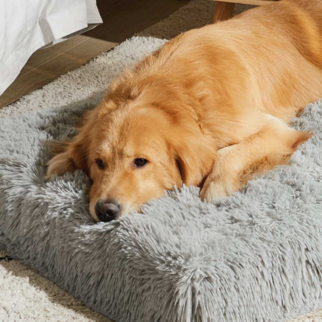 Calming Dog Mat