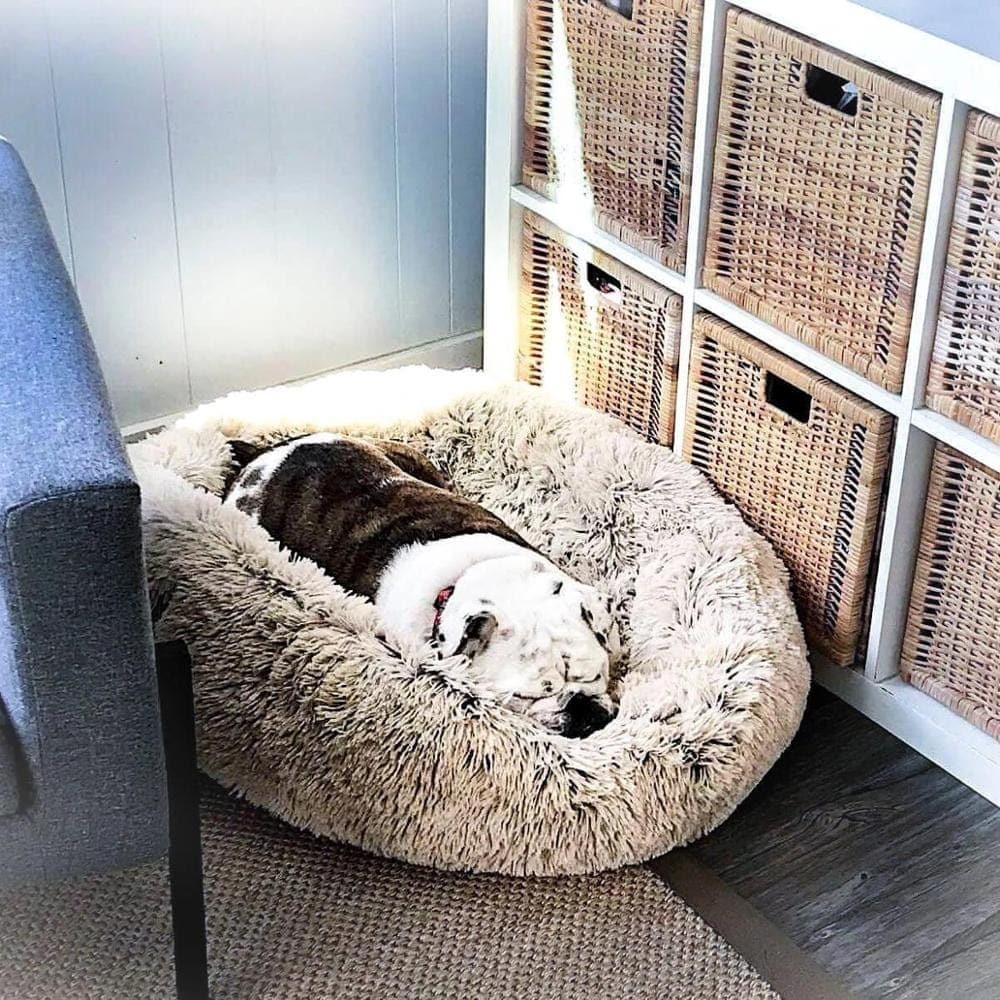 Bella&Toby™ Bed for Dogs and Cats Bella&Toby™