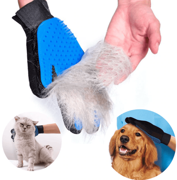 Glove for dog hair removal best sale