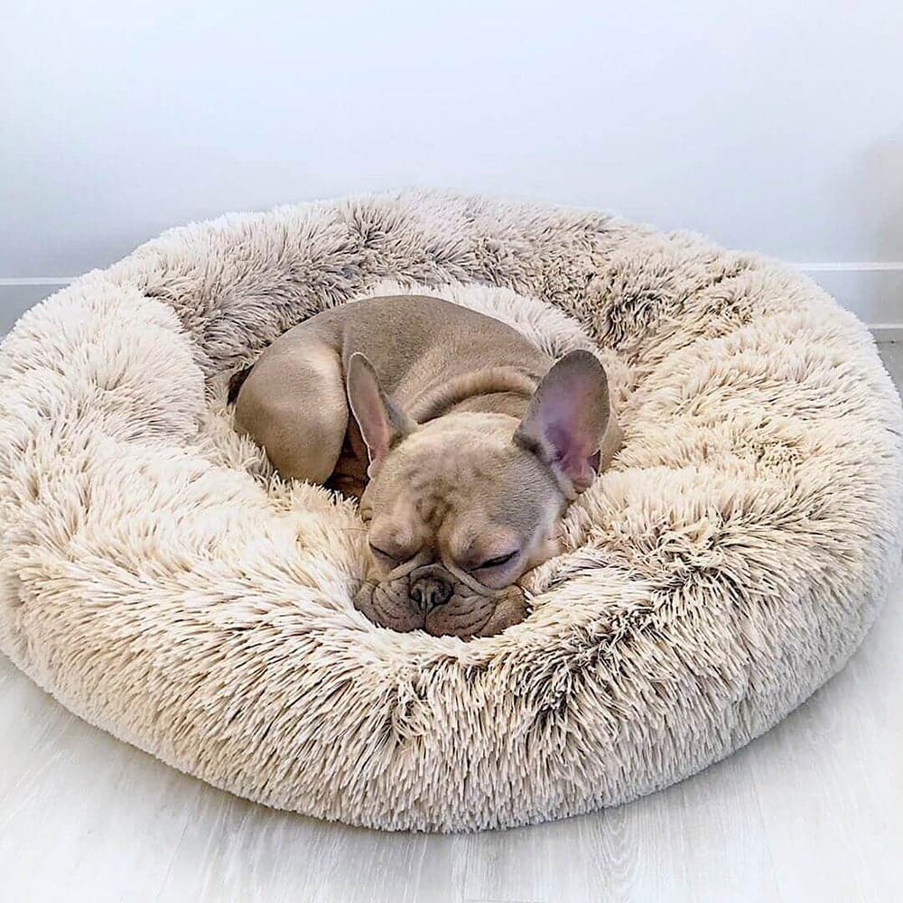 Bella&Toby™ Bed for Dogs and Cats Bella&Toby™ Beige 40cm / 16" 