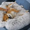 Load image into Gallery viewer, Dog Sofa Cover