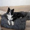 Load image into Gallery viewer, Bella&amp;Toby™ Calming Couch Cover Bella&amp;Toby™ 