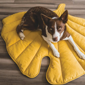 Pet Leaf Blanket