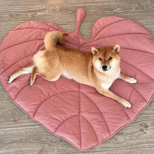 Pet Leaf Blanket